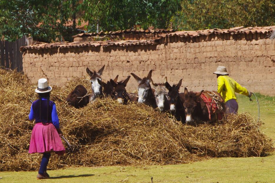 4421d imgp0100 sacredvalley
