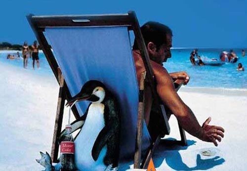 a pinguin
