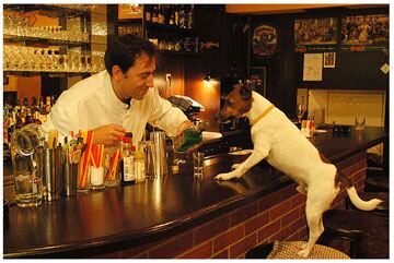 bar