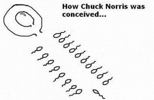 chuck noris01