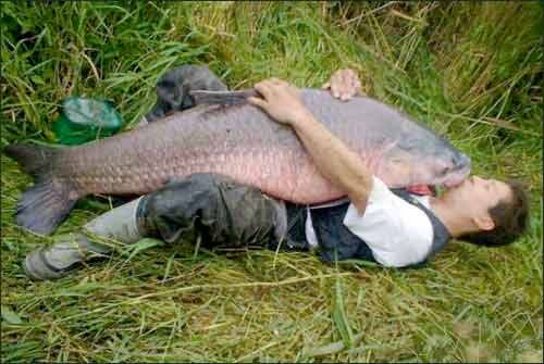 fish01