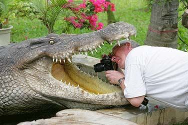 krokodil