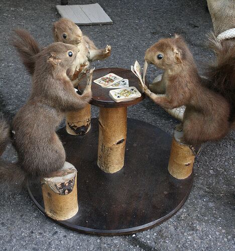 squirrel cards